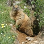 Wanderwoche Zillertal 2023 Tag 3